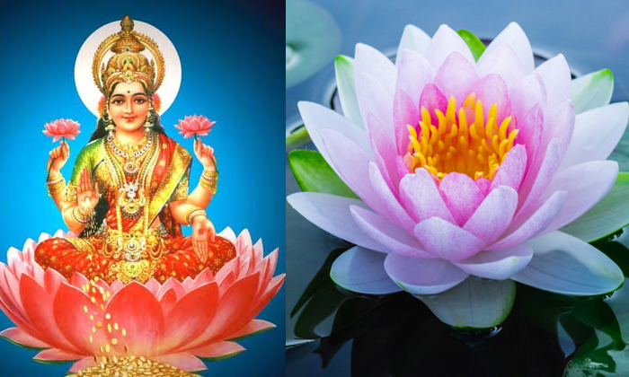  Follow These For Better Financial Conditions Lakshmi Devi Details, Lakshmi Devi,-TeluguStop.com