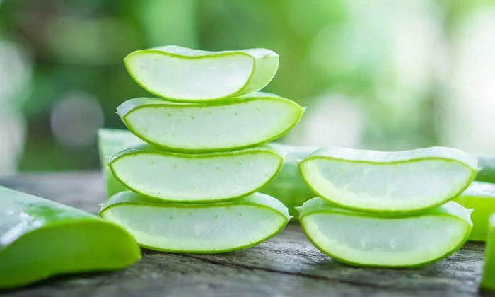  A Powerful Remedy To Get Rid Of Dandruff Easily Is For You! Powerful Remedy, Dan-TeluguStop.com