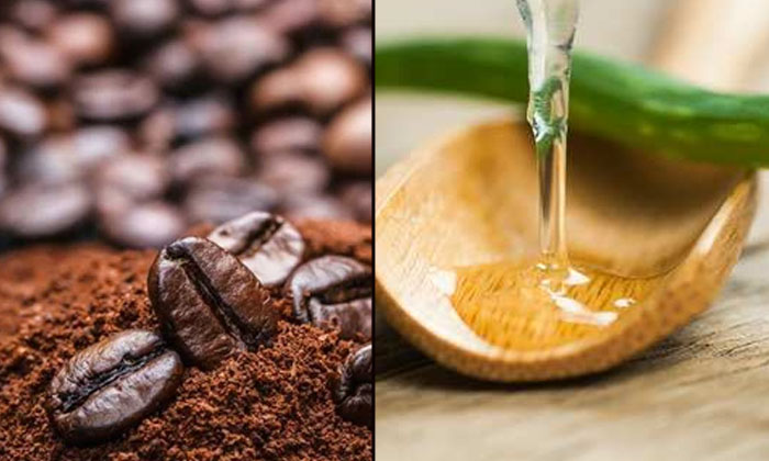  How To Use Coffee Powder For Control Hair Fall! Coffee Powder, Control Hair Fall-TeluguStop.com