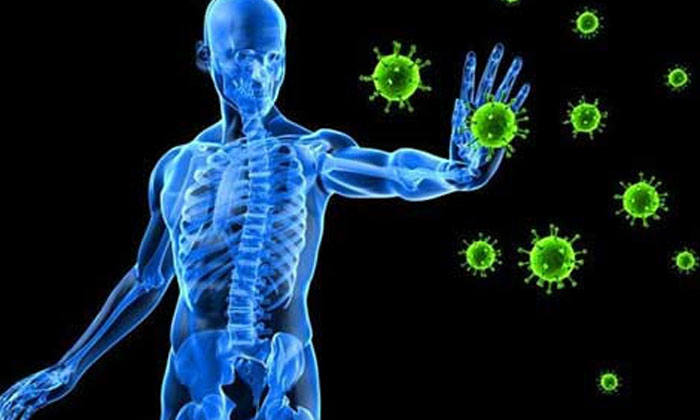 Telugu Beetroot, Tips, Immunity, Red-Telugu Health Tips