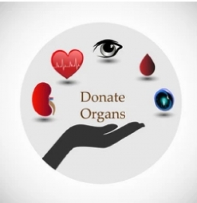  'india Needs 4 Lakh Organ Transplants Every Year'-TeluguStop.com