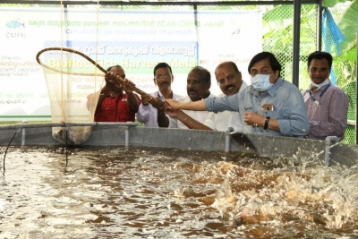  Kerala Sc Community Reaps Benefits Of Biofloc Fish Farming-TeluguStop.com