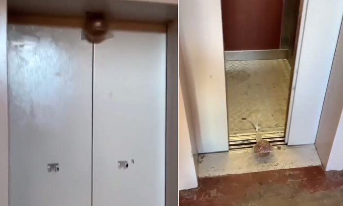  Man Uses Elevator To Break Coconut Viral Video Details, Viral Video, Coconut, Li-TeluguStop.com