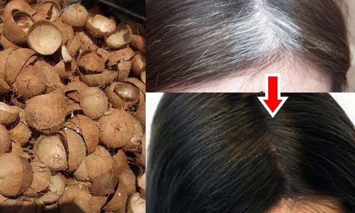  Is Coconut Shell Useful For Turning Hair Black And Many More Benefits , Coconut-TeluguStop.com