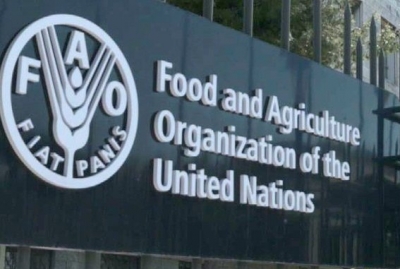 One In Four In Sl Facing Food Insecurity: Fao One In Four In Sl Facing Food Insecurity: Fao-TeluguStop.com