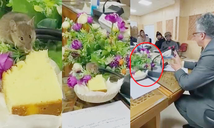  Rat Enjoys Eating Food In A Business Meeting Viral Video Details, Viral Latest,-TeluguStop.com