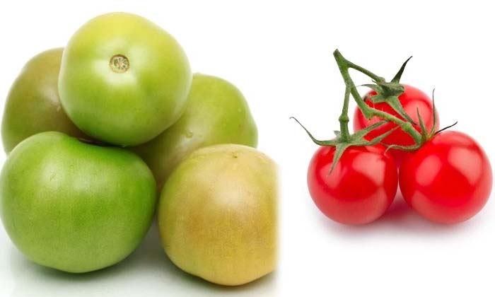  Have You Ever Eaten Green Tomato Other Than Red Tomato , Red Tomato ,green Tomat-TeluguStop.com