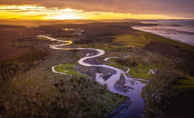  Scientists Decry Exploitation Of Peatlands-TeluguStop.com