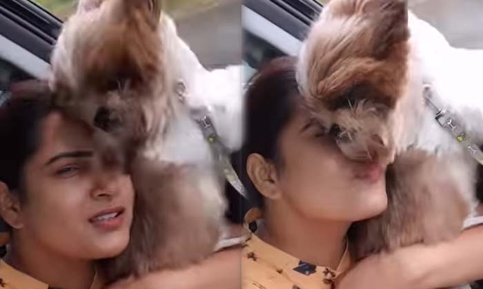  Himaja Is Painting The Body Of A Dog On Her Face.. Are Netizens Trolling Saying-TeluguStop.com