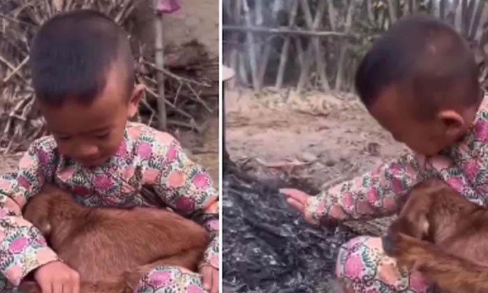  The Boy Lit A Fire For A Goat That Was Shivering With Cold The Video Went Viral-TeluguStop.com