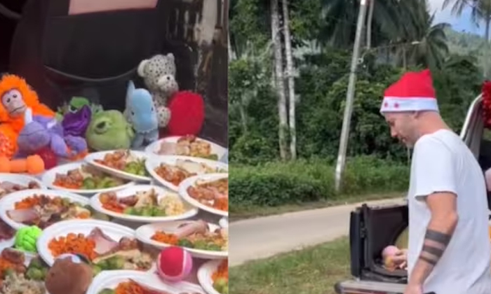  Viral: Ever Throw A Party To Stray Dogs? He Asked For It At Christmas , Viral La-TeluguStop.com