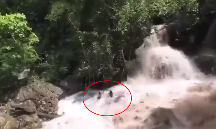  Viral Video Tourists Washed Away By Flash Flood At A Waterfall Details, Viral La-TeluguStop.com