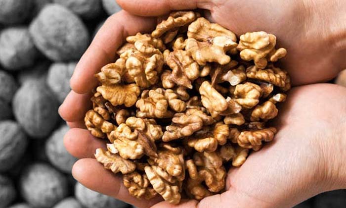  Wonderful Health Benefits Of Walnut Milk , Health, Benefits Of Walnut Milk, Waln-TeluguStop.com