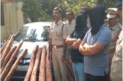Ap Most Wanted Red Sandalwood Smuggler Brothers Arrested Ap Most Wanted Red Sandalwood Smuggler Brothers Arrested-TeluguStop.com