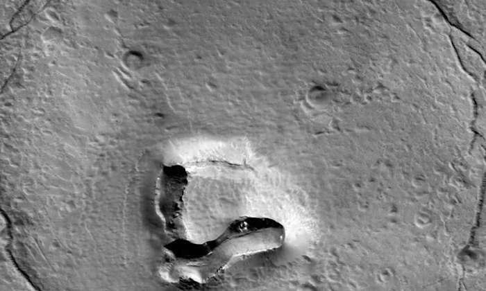  A Strange Shape Like A Bear's Face On Mars Nasa Photo Goes Viral , Mars, Mars Be-TeluguStop.com