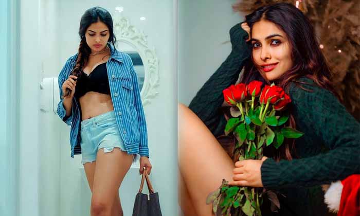 Actress Divi Vadthya Most Glamorous Clicks - Divivadthya Actressdivi Divi Vadthya High Resolution Photo