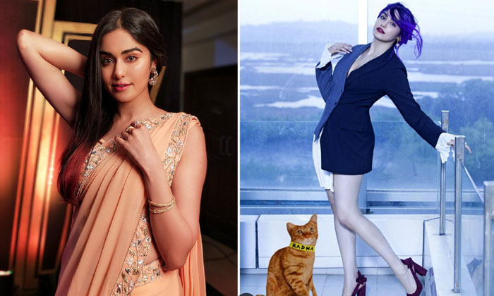  Adasharma Is Making A Fuss With A Cat Called Radha What Is The Dress Adasharma ,-TeluguStop.com