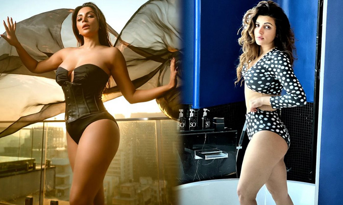 Amazing Photos Of Actress Shama Sikander Melts Our Hearts  - Actressshama Shama Sikander Shamasikander Spicy Tollywood High Resolution Photo