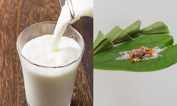 Telugu Betel, Cool Waterr, Problems, Fruit, Tips, Milk, Paan, Ph-Telugu Health