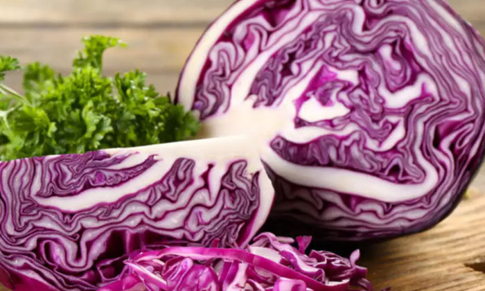  A New Variety Of Surprising Cabbage , Cabbage , Colored Cabbage , Dr. Ajay ,co-TeluguStop.com