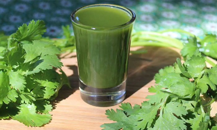 Telugu Belly Fat, Corander, Coriander, Fat Cutter, Tips, Latest-Telugu Health Telugu Belly Fat, Corander, Coriander, Fat Cutter, Tips, Latest-Telugu Health