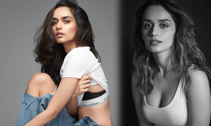 Glamorous Actress Manushi Chhillar Spells Magic On Us With Her Beautiful Pictures-telugu Actress Photos Glamorous Actres High Resolution Photo