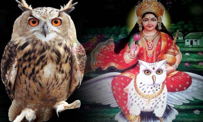 Telugu Crow, Diwali, Goddess Lakshmi, Owel, Vastu, Vastu Shastram, Vastu Tips-Te