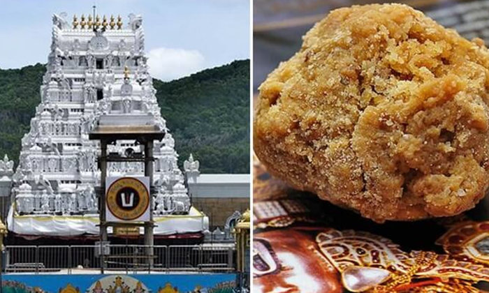 Telugu Bakti, Devotional, Laddu Prasad-Latest News - Telugu