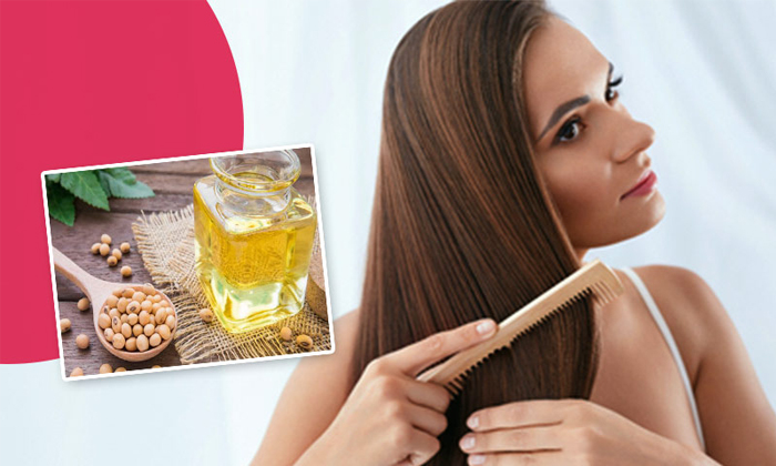  How To Use Soya Beans From Prevent Hair Fall Details! Hair Fall, Stop Hair Fall,-TeluguStop.com