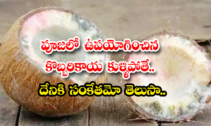 పూజలో ఉపయోగించిన కొబ్బరికాయ కుళ్ళిపోతే.. దేనికి సంకేతమో తెలుసా.. | If