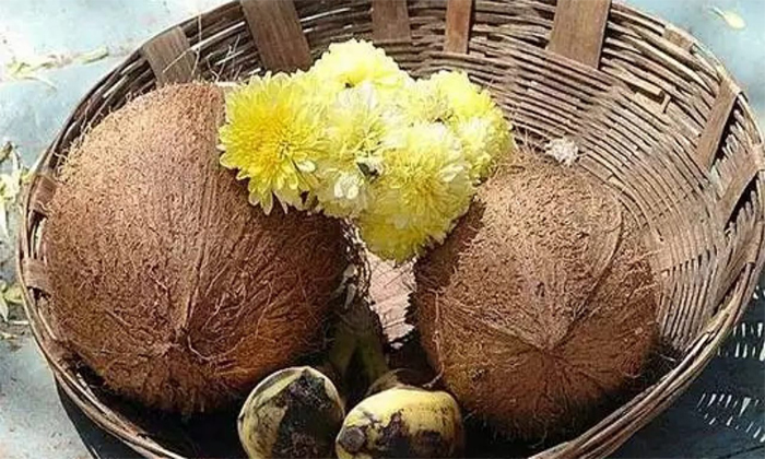  If The Coconut Used In The Pooja Rots Do You Know What It Means Details, Coconut-TeluguStop.com