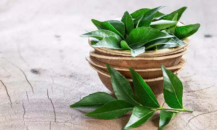  Are You Taking Curry Leaves Easily.. If You Take It Daily, All These Diseases ,-TeluguStop.com