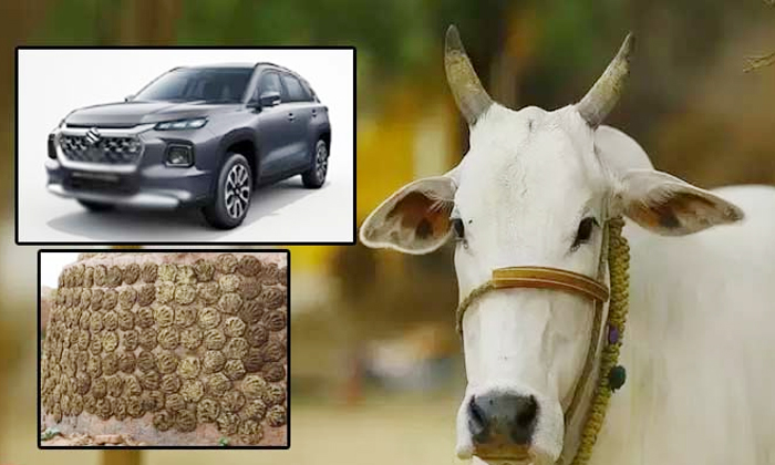  Maruti Suzuki Will Use Cow Dung To Produce Biogas To Run Cars Details, Cow Dung,-TeluguStop.com