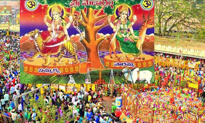 Telugu Medaram Jatara, Medaram, Telangana, Tribal-Latest News - Telugu