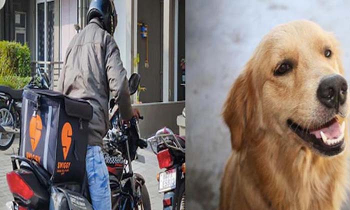 The Delivery Boy Was Scared Of The Dog And Jumped From The Third Floor ,hyderaba The Delivery Boy Was Scared Of The Dog And Jumped From The Third Floor ,hyderaba-TeluguStop.com