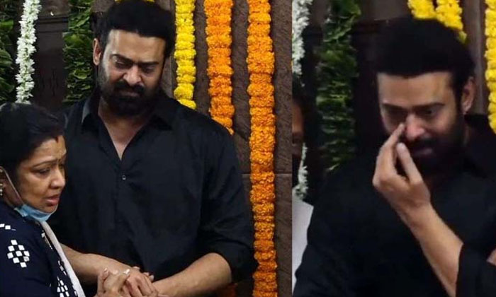  Without Pedananna I Would Not Be There Prabhas Who Is Emotional Remembering Kri-TeluguStop.com