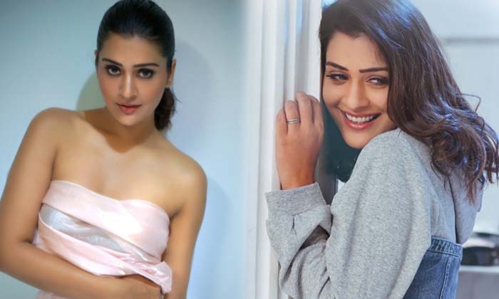  Payal Rajput Exposed In A Blue Dress ,payal Rajput Blue Dress Photo Shoot,payal-TeluguStop.com