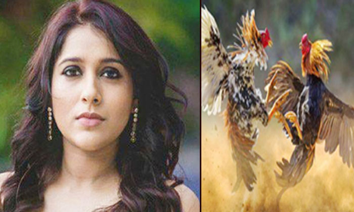  Do You Know That The Chicken Is Not Suffering Rashmi Questioned The Netizen-TeluguStop.com