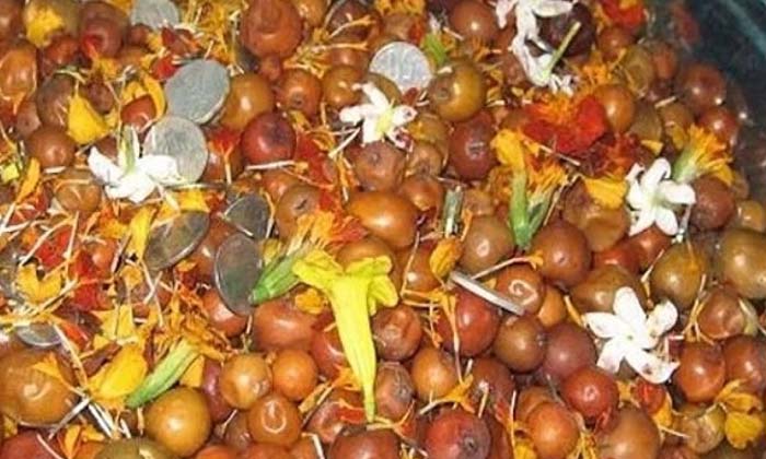  Do You Put Bhogi Fruits On Childrens Heads For That ,bhogi Pandlu ,makar Sankran-TeluguStop.com