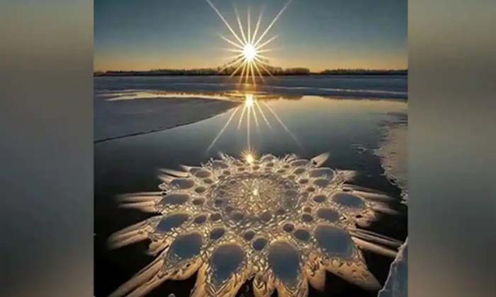  The Biggest Flower Made Of Snow ,ice Flowers, Viral News, Latest News, Snow,bi-TeluguStop.com