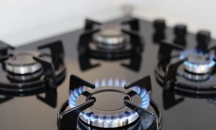  The Government Is Planning To Ban Gas Stoves You Will Be Surprised To Know Why ,-TeluguStop.com