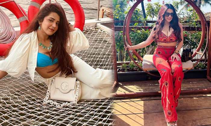 These Stunning Pictures Of Roshni Walia You Just Don’t Miss-telugu Actress Photos These Stunning Pictures Of Roshni Wali High Resolution Photo