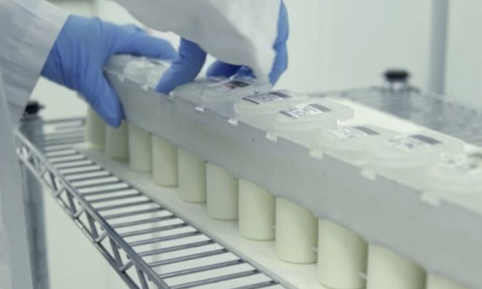 Telugu Chemical, Safety Officers, Problems, Tips, Milk, Packet Milk-Telugu Healt Telugu Chemical, Safety Officers, Problems, Tips, Milk, Packet Milk-Telugu Healt