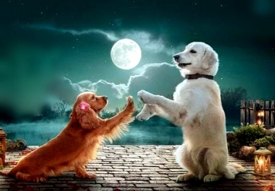 A Film With Just Puppies And A Rooster, 'valatti' All Set For A Notable First A Film With Just Puppies And A Rooster, 'valatti' All Set For A Notable First-TeluguStop.com