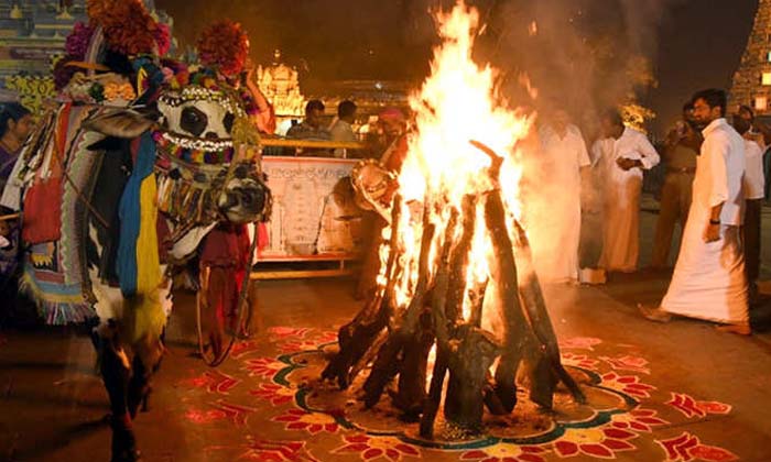 Telugu Andhra Pradesh, Bhakti, Bhogi Festival, Devotional, Haridasu, Makarasankr