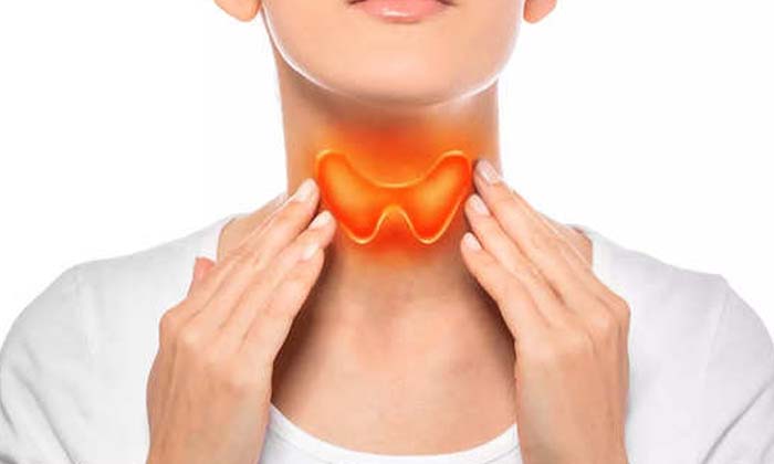  If These Precautions Are Taken Then The Thyroid Problem Will Go Away, Precaution-TeluguStop.com