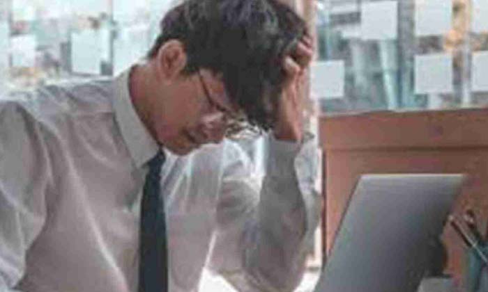 Amazon Selling Offices In Different Countries Because ,amazon, Key Decision, Cal Amazon Selling Offices In Different Countries Because ,amazon, Key Decision, Cal-TeluguStop.com