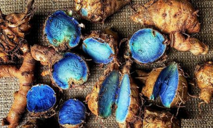  Amazing Health Benefits Of Blue Turmeric,blue Turmeric,turmeric Powder,kali Hald-TeluguStop.com