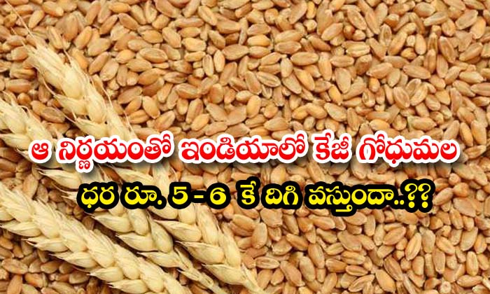  with that decision will the price of kg wheat in india come down to rs 5 6 - India, Indian, Wheat