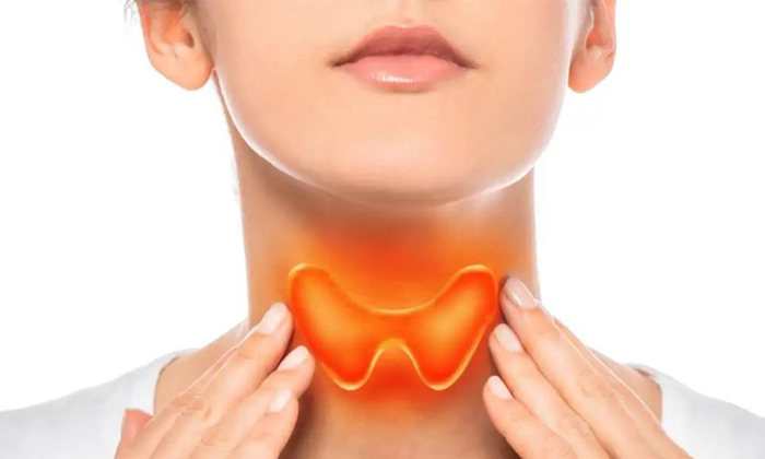  Foods That Helps In Reducing Thyroid Problems Details, Foods , Reducing Thyroid-TeluguStop.com